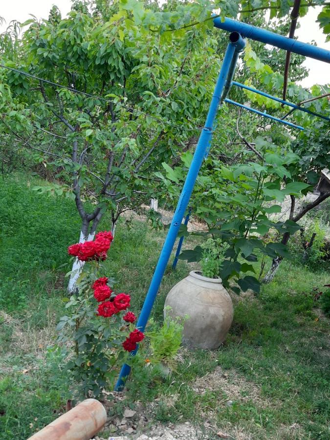 Ararat B&B Чива Экстерьер фото
